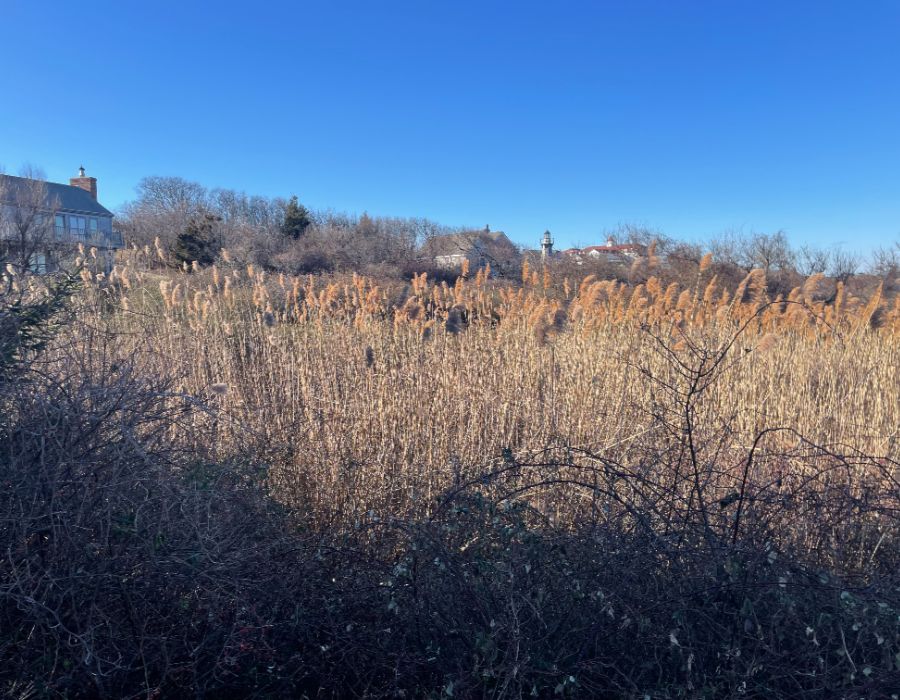trusted environmental consultants serving ri, ct & ma-008