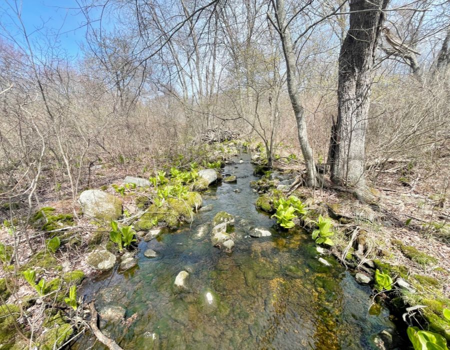 trusted environmental consultants serving ri, ct & ma-009