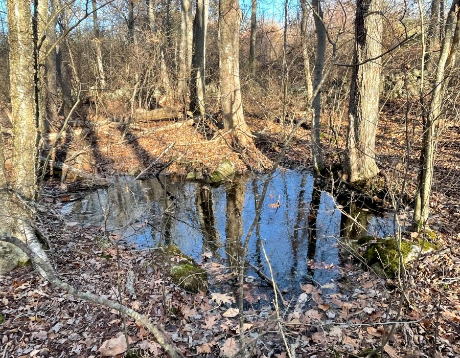 trusted environmental consultants serving ri, ct & ma-011