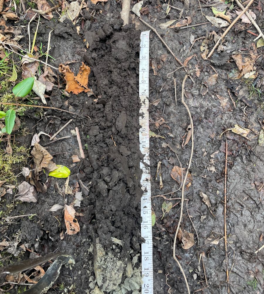 SOIL