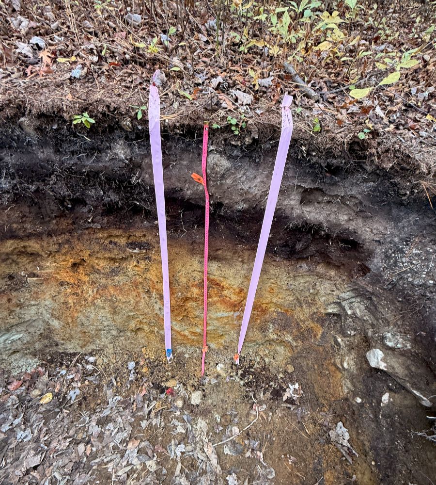 soil evaluations-104